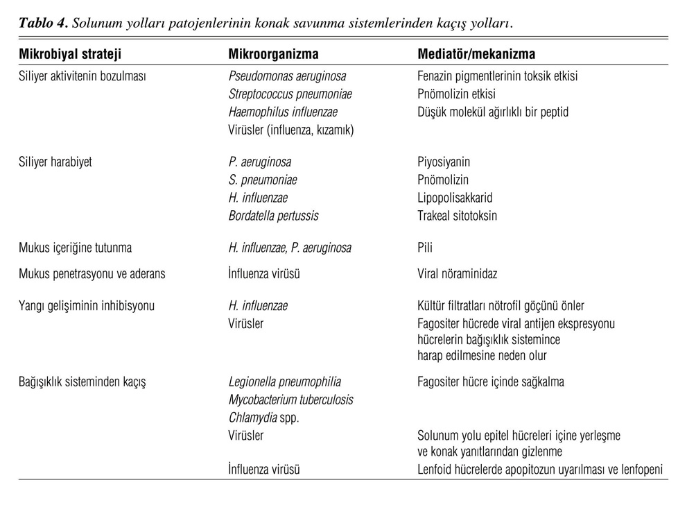 hidraulica geral lencastre pdf