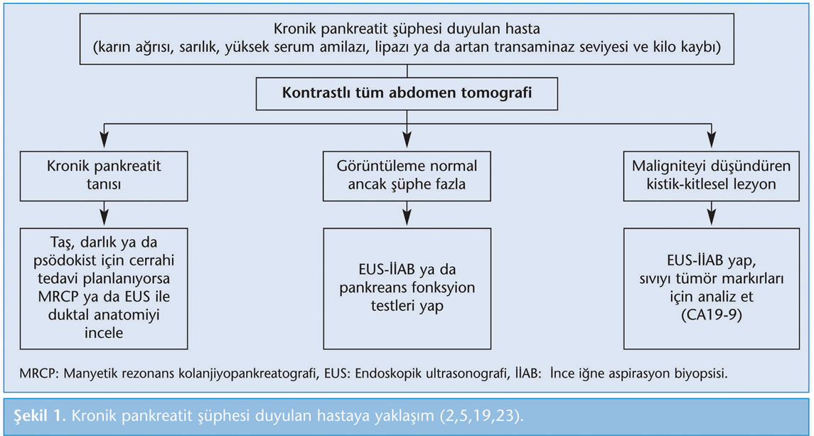 yüksek tansiyon ve kronik pankreatit mkb-10a göre yüksek tansiyon kodu