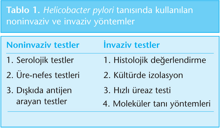 Antibioticos contra helicobacter pylori Antibioticos contra helicobacter pylori